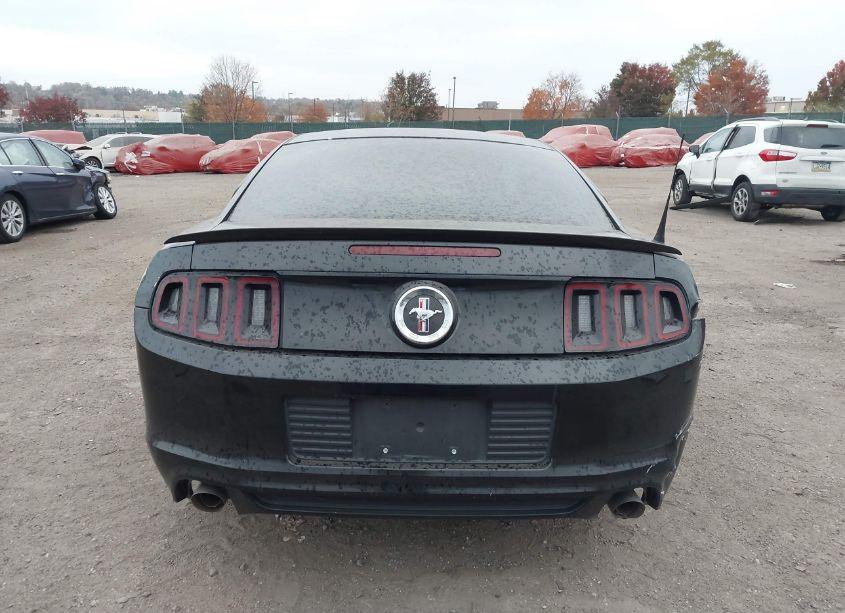 Photo 16 of 2014 Ford Mustang N/A (VIN 1ZVBP8AM2E5257947)