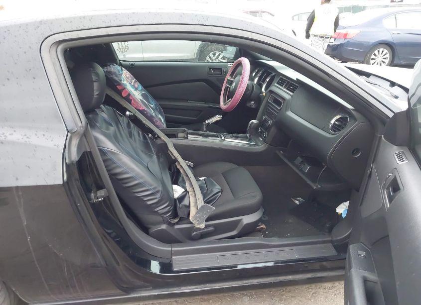 Photo 5 of 2014 Ford Mustang N/A (VIN 1ZVBP8AM2E5257947)