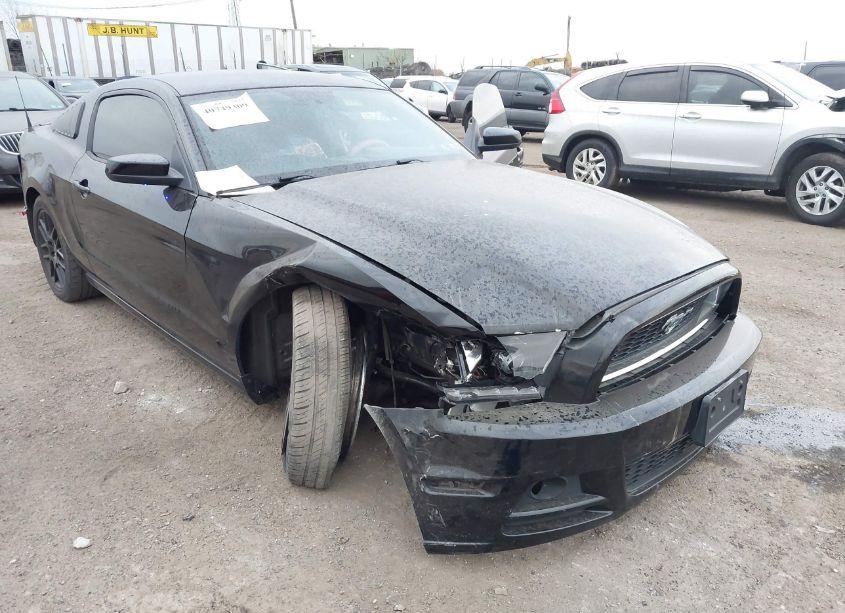 Photo 6 of 2014 Ford Mustang N/A (VIN 1ZVBP8AM2E5257947)