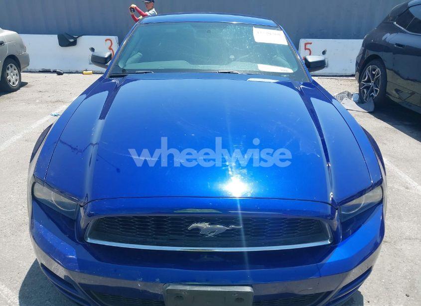 Photo 12 of 2014 Ford Mustang V6 (VIN 1ZVBP8AM2E5275266)