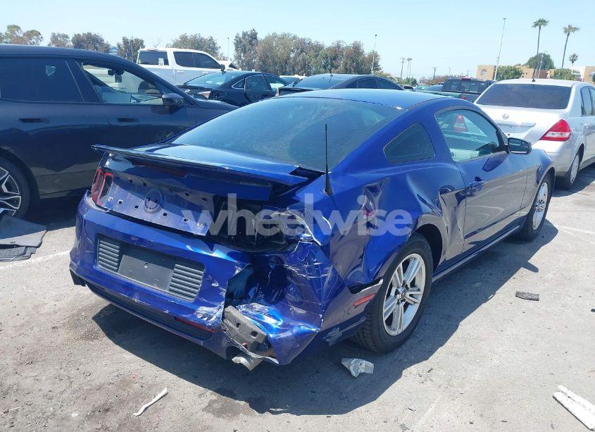 Photo 4 of 2014 Ford Mustang V6 (VIN 1ZVBP8AM2E5275266)