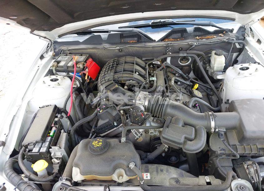 Photo 10 of 2014 Ford Mustang V6 PREMIUM (VIN 1ZVBP8AM2E5280063)