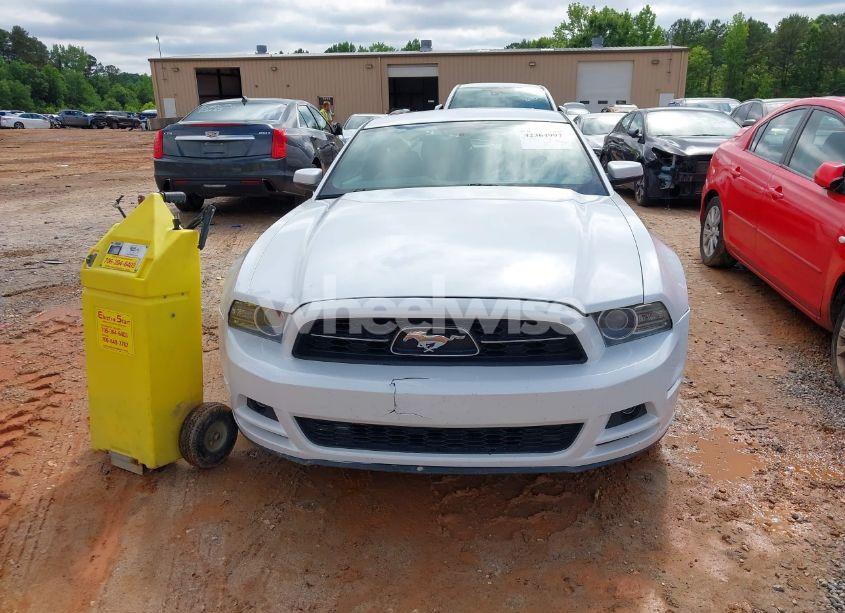 Photo 12 of 2014 Ford Mustang V6 PREMIUM (VIN 1ZVBP8AM2E5280063)