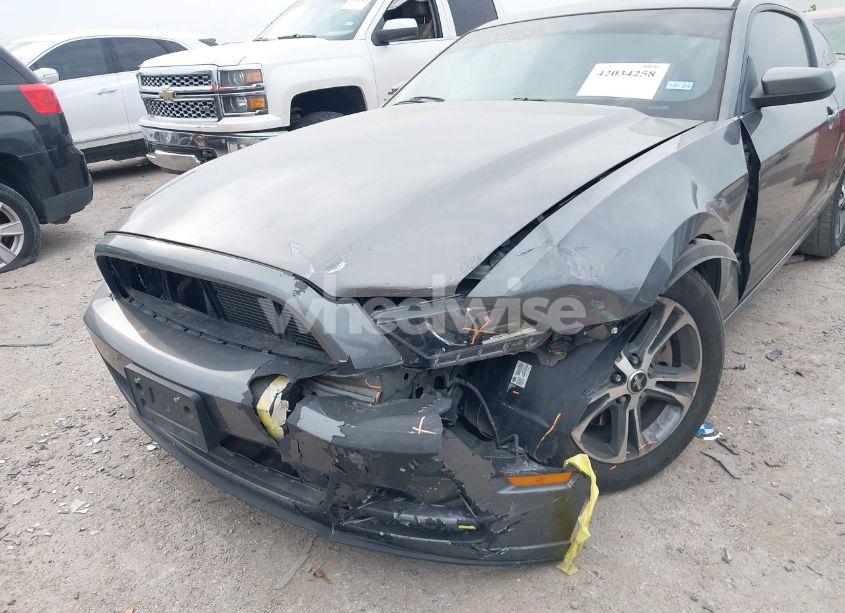 Photo 6 of 2014 Ford Mustang V6 PREMIUM (VIN 1ZVBP8AM2E5295095)
