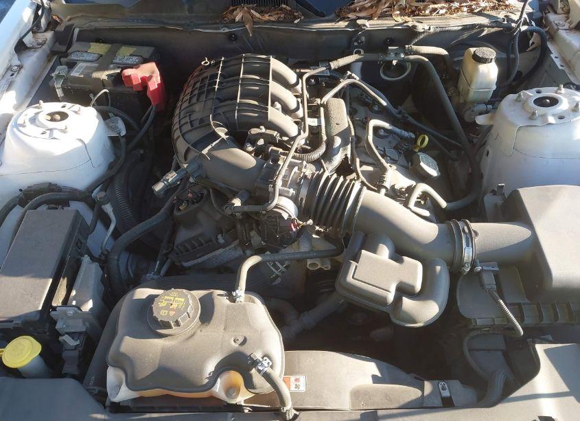 Photo 10 of 2014 Ford Mustang V6 PREMIUM (VIN 1ZVBP8AM2E5305060)