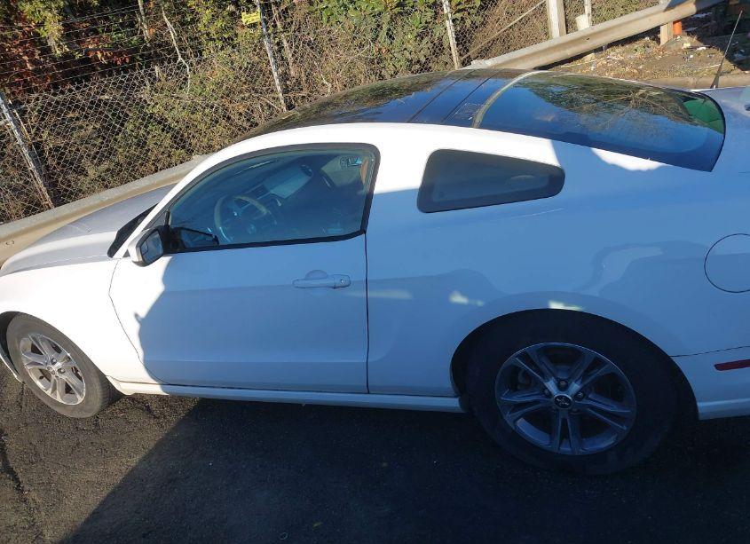 Photo 14 of 2014 Ford Mustang V6 PREMIUM (VIN 1ZVBP8AM2E5305060)