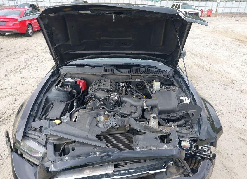 Photo 10 of 2014 Ford Mustang V6 (VIN 1ZVBP8AM2E5334705)