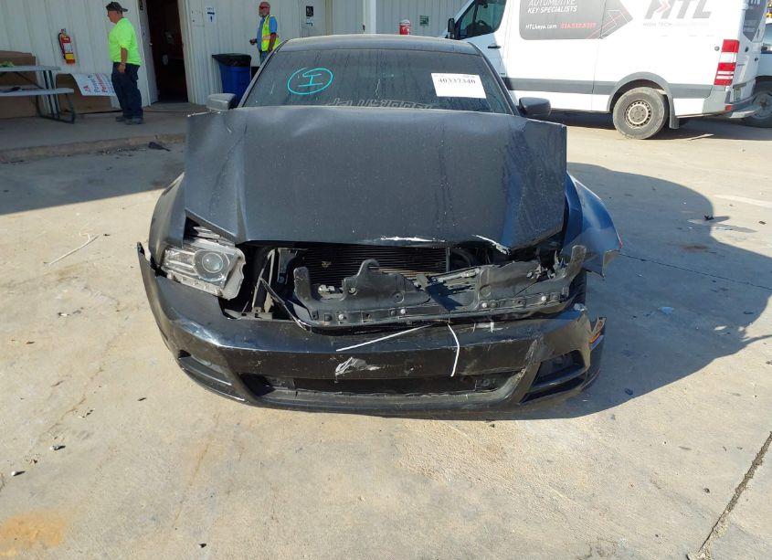 Photo 13 of 2014 Ford Mustang V6 (VIN 1ZVBP8AM2E5334705)