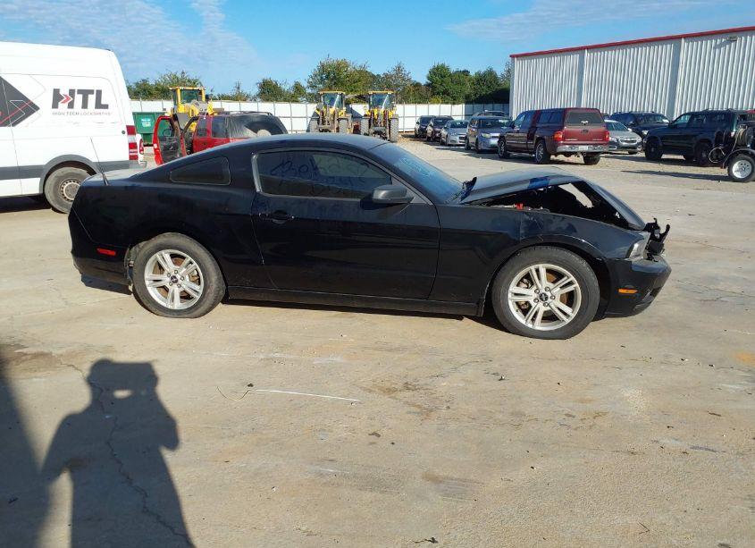 Photo 14 of 2014 Ford Mustang V6 (VIN 1ZVBP8AM2E5334705)