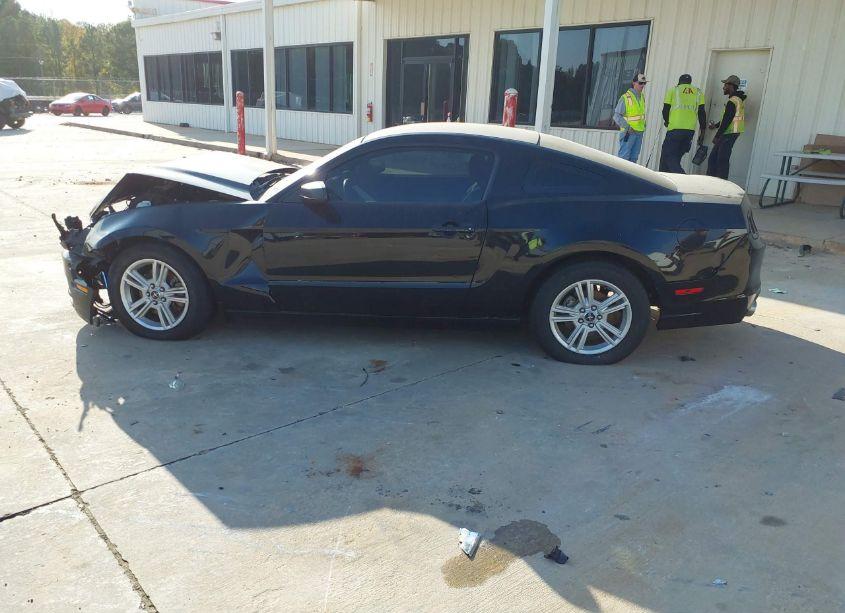 Photo 15 of 2014 Ford Mustang V6 (VIN 1ZVBP8AM2E5334705)