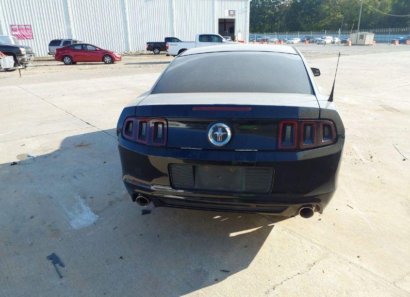 Photo 17 of 2014 Ford Mustang V6 (VIN 1ZVBP8AM2E5334705)