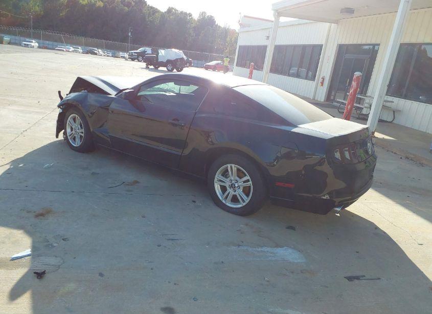 Photo 3 of 2014 Ford Mustang V6 (VIN 1ZVBP8AM2E5334705)