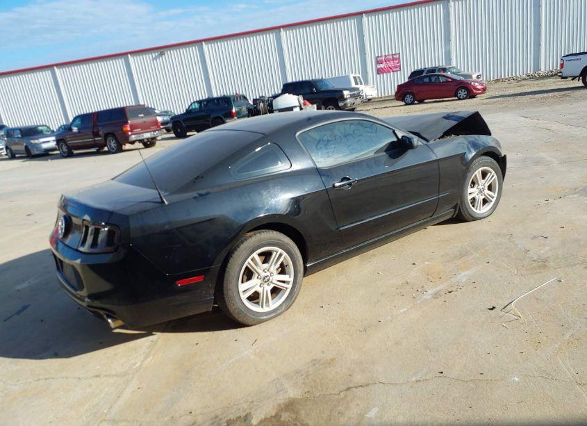 Photo 4 of 2014 Ford Mustang V6 (VIN 1ZVBP8AM2E5334705)