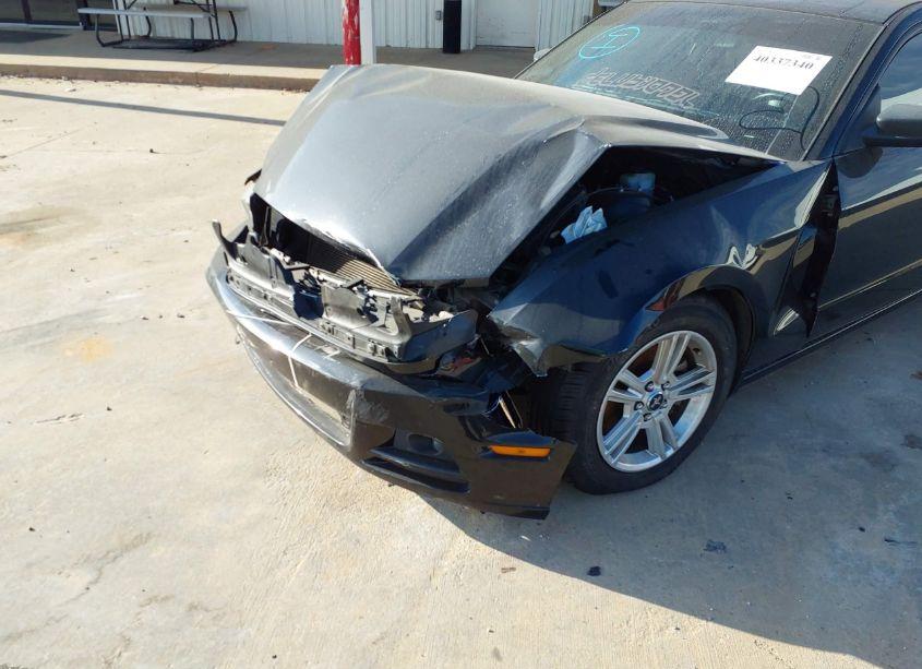Photo 6 of 2014 Ford Mustang V6 (VIN 1ZVBP8AM2E5334705)