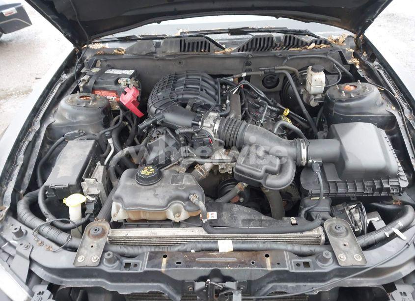 Photo 10 of 2011 Ford Mustang V6 PREMIUM (VIN 1ZVBP8AM3B5104618)