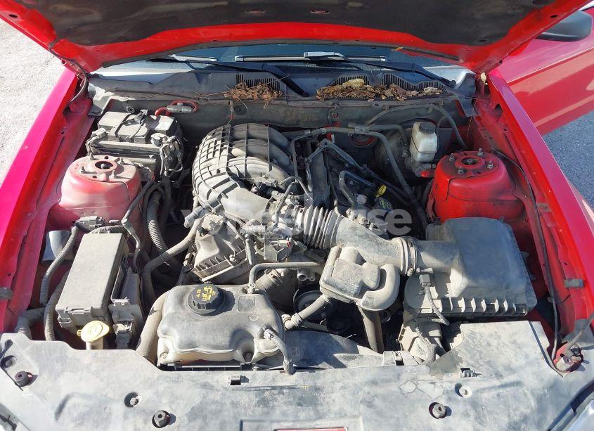 Photo 10 of 2011 Ford Mustang V6 PREMIUM (VIN 1ZVBP8AM3B5120818)