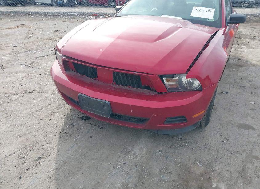 Photo 6 of 2011 Ford Mustang V6 PREMIUM (VIN 1ZVBP8AM3B5134914)