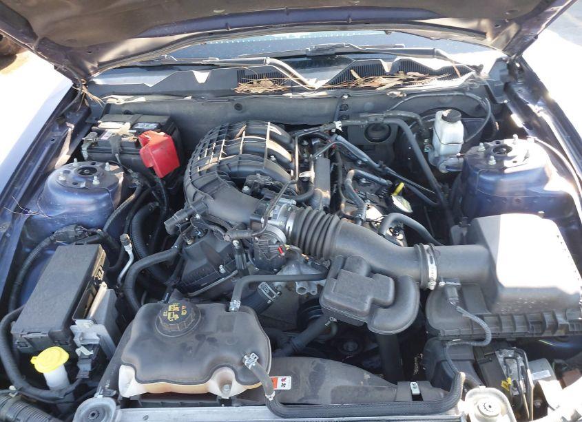 Photo 10 of 2011 Ford Mustang V6 (VIN 1ZVBP8AM3B5138462)