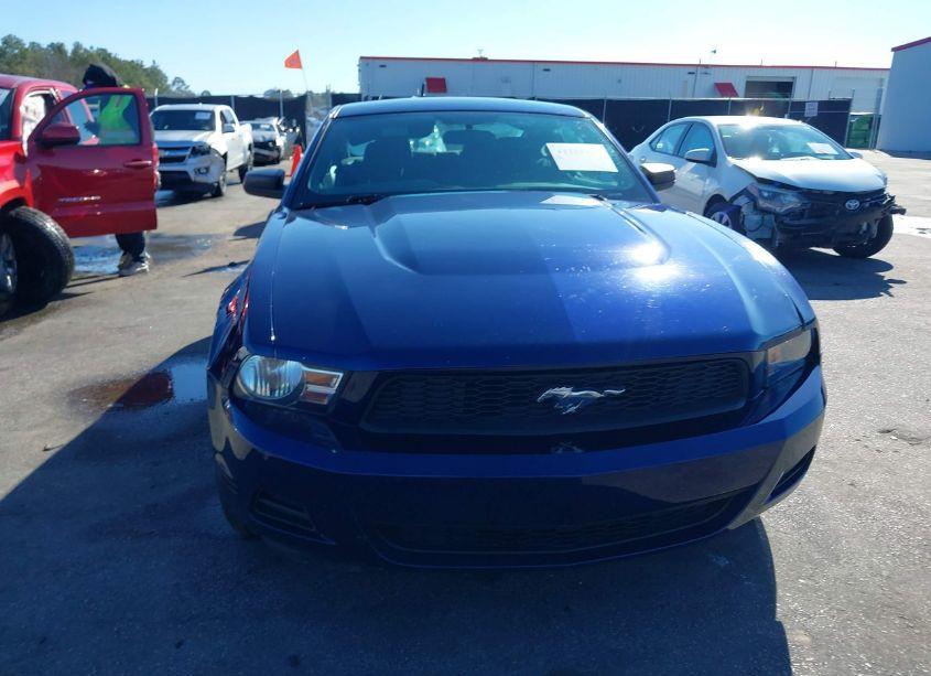 Photo 12 of 2011 Ford Mustang V6 (VIN 1ZVBP8AM3B5138462)