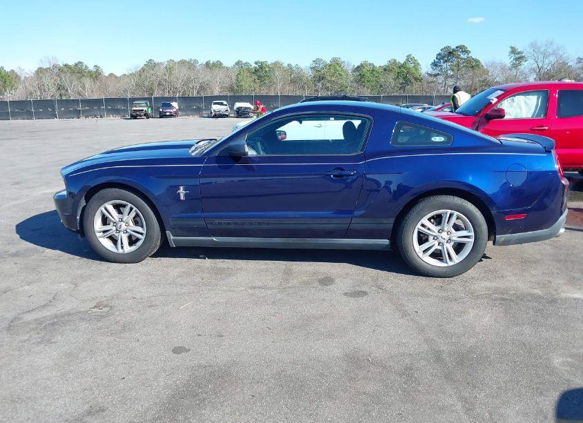 Photo 14 of 2011 Ford Mustang V6 (VIN 1ZVBP8AM3B5138462)