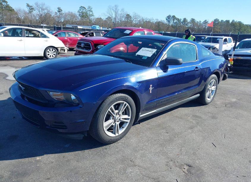 Photo 2 of 2011 Ford Mustang V6 (VIN 1ZVBP8AM3B5138462)