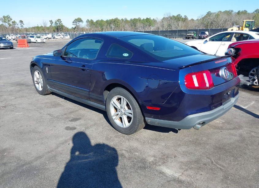 Photo 3 of 2011 Ford Mustang V6 (VIN 1ZVBP8AM3B5138462)