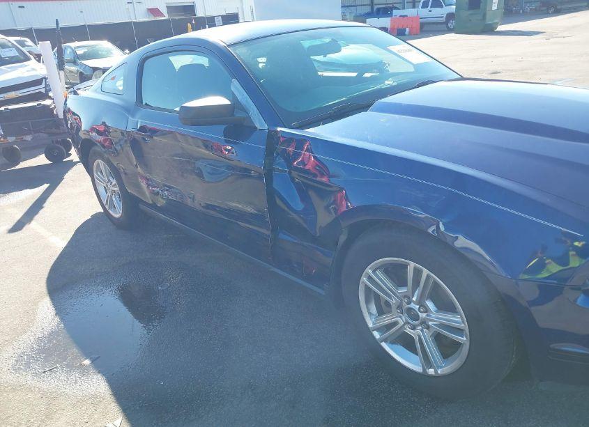 Photo 6 of 2011 Ford Mustang V6 (VIN 1ZVBP8AM3B5138462)