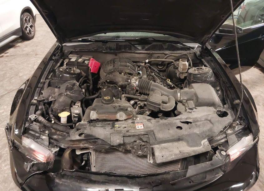 Photo 10 of 2011 Ford Mustang V6 PREMIUM (VIN 1ZVBP8AM3B5149459)