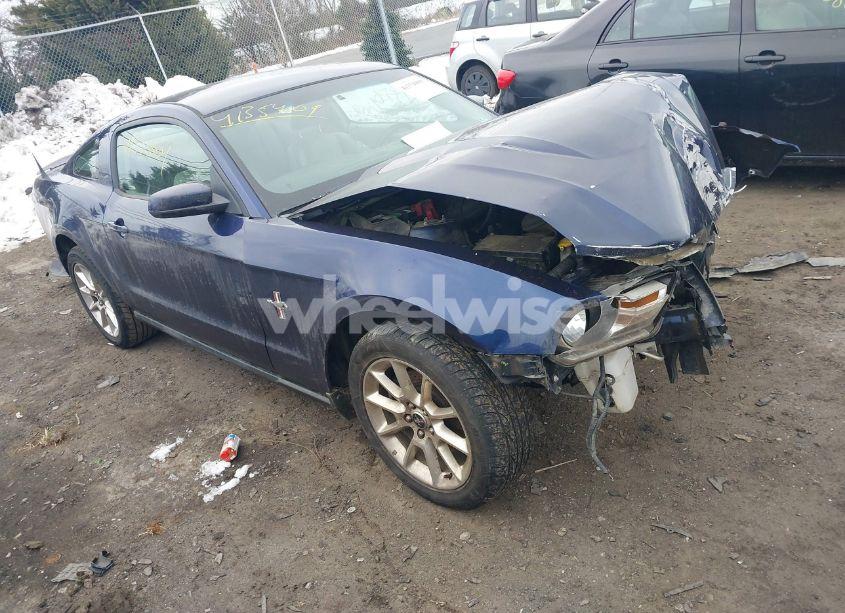 2011 Ford Mustang V6 PREMIUM (VIN 1ZVBP8AM3B5162082) main photo