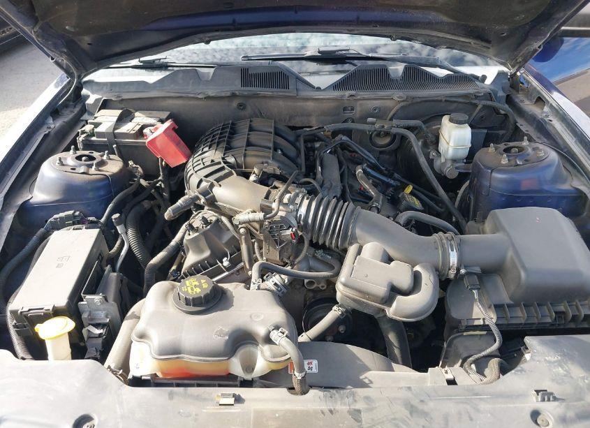 Photo 10 of 2012 Ford Mustang V6 PREMIUM (VIN 1ZVBP8AM3C5225084)