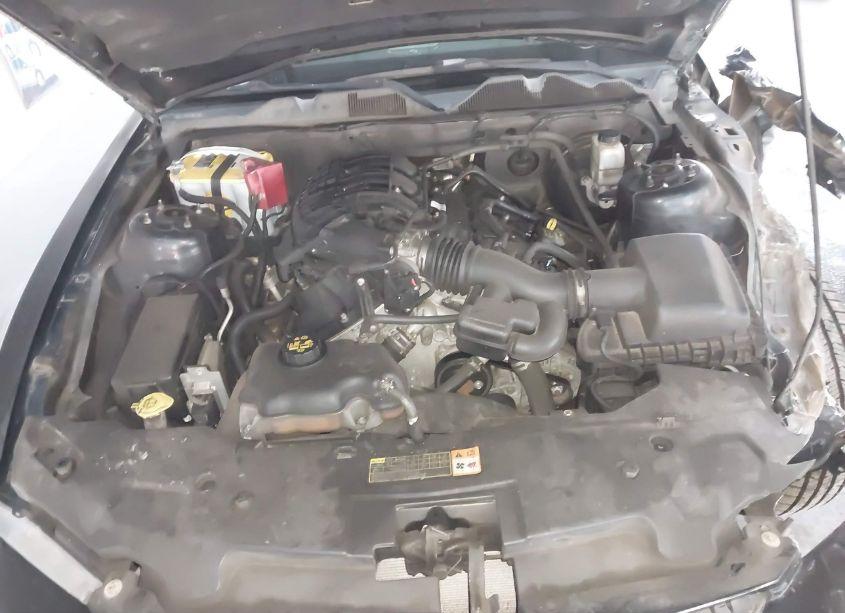 Photo 10 of 2012 Ford Mustang V6 (VIN 1ZVBP8AM3C5239244)