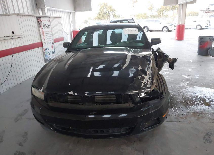 Photo 12 of 2012 Ford Mustang V6 (VIN 1ZVBP8AM3C5239244)