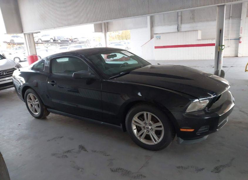 Photo 13 of 2012 Ford Mustang V6 (VIN 1ZVBP8AM3C5239244)