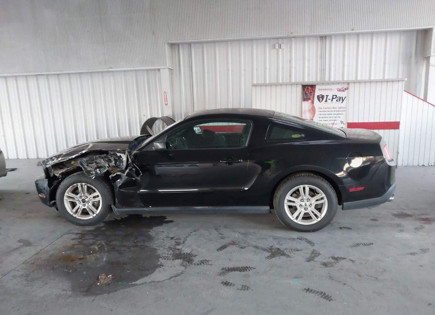Photo 14 of 2012 Ford Mustang V6 (VIN 1ZVBP8AM3C5239244)