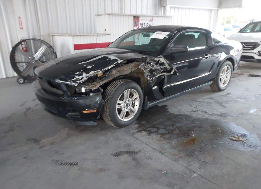 Photo 2 of 2012 Ford Mustang V6 (VIN 1ZVBP8AM3C5239244)
