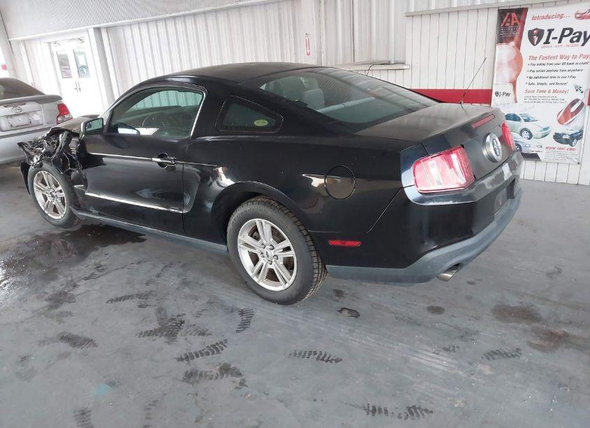 Photo 3 of 2012 Ford Mustang V6 (VIN 1ZVBP8AM3C5239244)