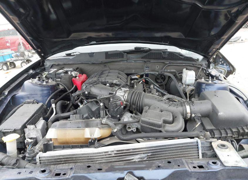 Photo 8 of 2012 Ford Mustang V6 (VIN 1ZVBP8AM3C5251099)