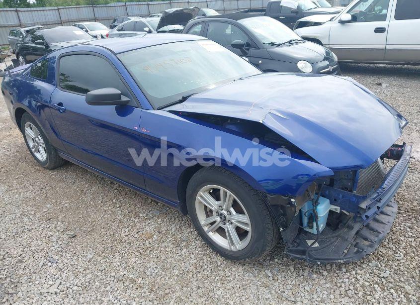 2013 Ford Mustang V6 (VIN 1ZVBP8AM3D5215494) main photo