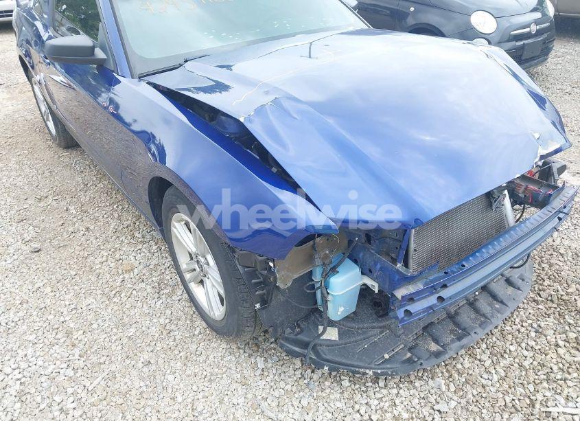 Photo 18 of 2013 Ford Mustang V6 (VIN 1ZVBP8AM3D5215494)
