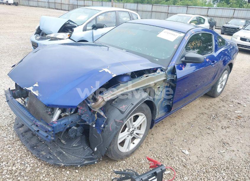 Photo 2 of 2013 Ford Mustang V6 (VIN 1ZVBP8AM3D5215494)