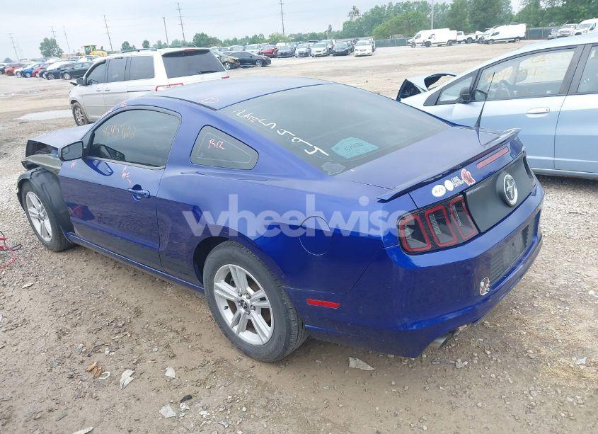 Photo 3 of 2013 Ford Mustang V6 (VIN 1ZVBP8AM3D5215494)
