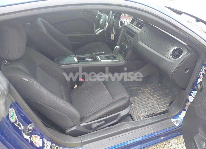 Photo 5 of 2013 Ford Mustang V6 (VIN 1ZVBP8AM3D5215494)