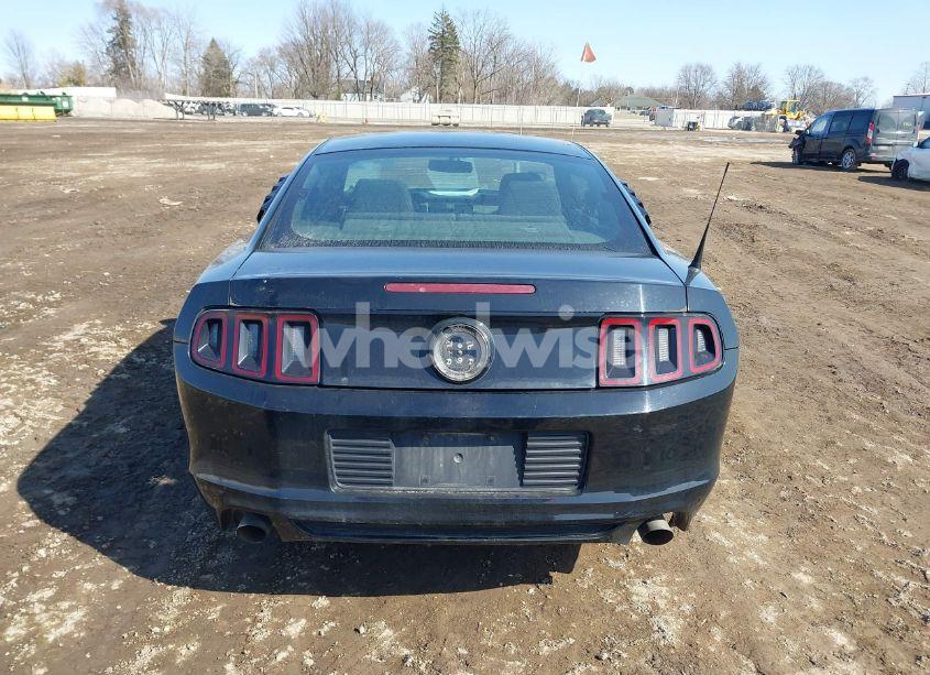Photo 16 of 2013 Ford Mustang V6 (VIN 1ZVBP8AM3D5235860)