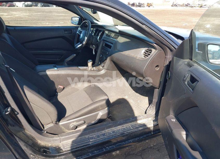 Photo 5 of 2013 Ford Mustang V6 (VIN 1ZVBP8AM3D5235860)