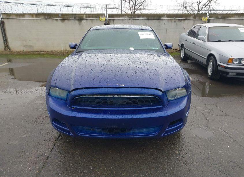 Photo 12 of 2013 Ford Mustang V6 (VIN 1ZVBP8AM3D5259740)