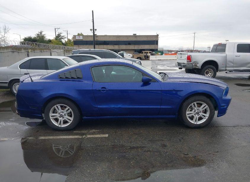 Photo 13 of 2013 Ford Mustang V6 (VIN 1ZVBP8AM3D5259740)