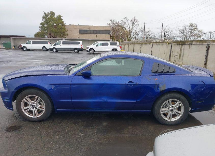 Photo 14 of 2013 Ford Mustang V6 (VIN 1ZVBP8AM3D5259740)