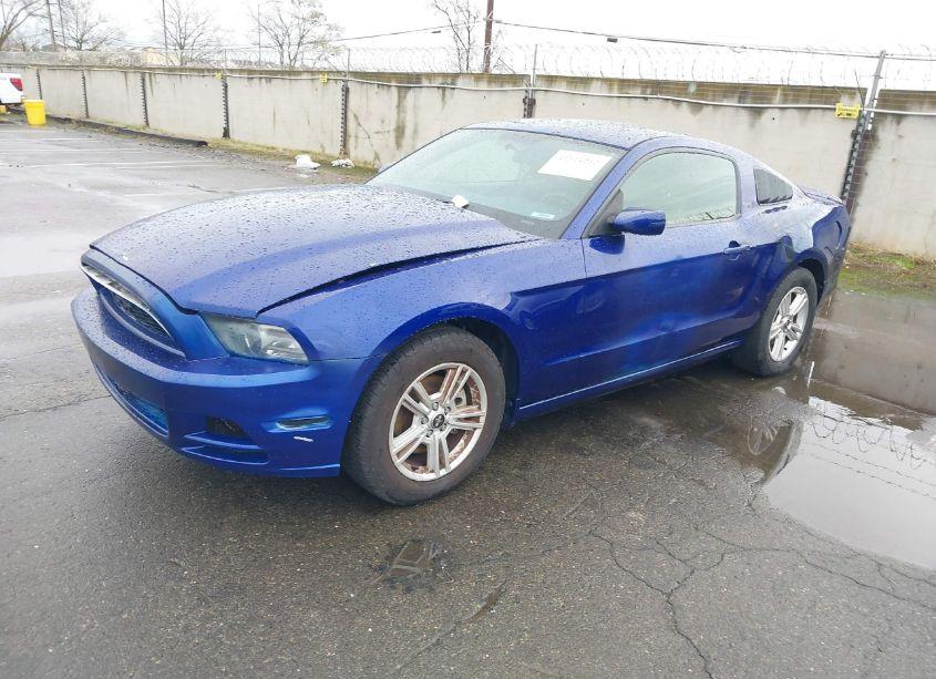 Photo 2 of 2013 Ford Mustang V6 (VIN 1ZVBP8AM3D5259740)