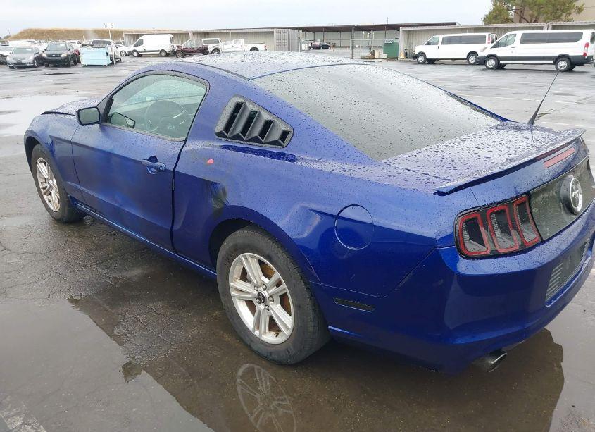 Photo 3 of 2013 Ford Mustang V6 (VIN 1ZVBP8AM3D5259740)