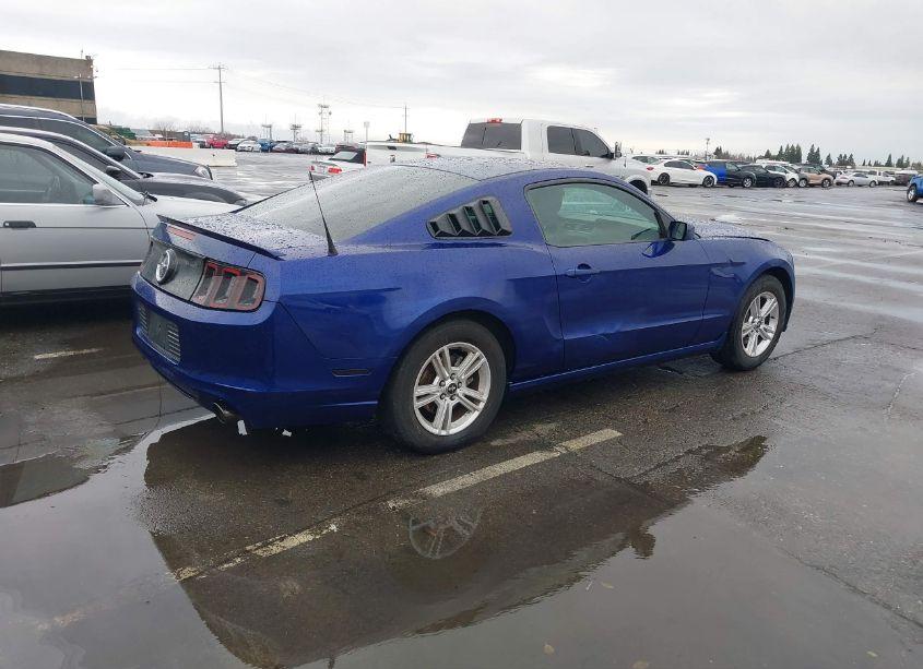 Photo 4 of 2013 Ford Mustang V6 (VIN 1ZVBP8AM3D5259740)